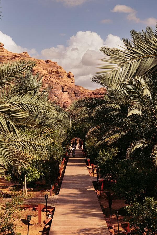 AlUla: Oasis Heritage Trail Tour
